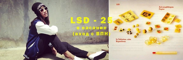 винт Богданович