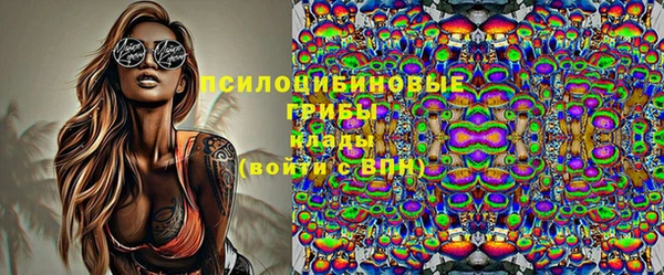 винт Богданович