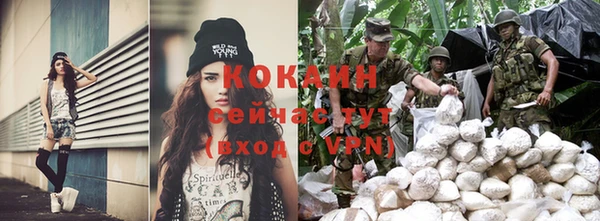 винт Богданович