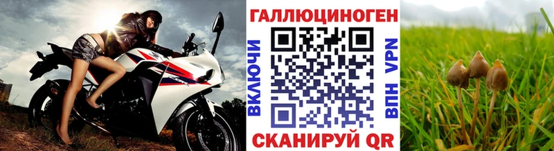 Купить где  Мытищи  Галлюциногенные грибы Cubensis 